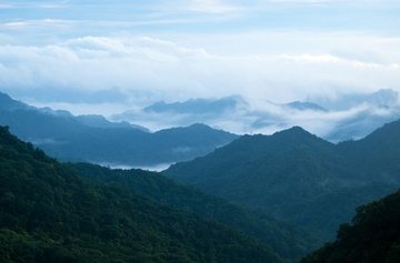 A thousand years old and 20 storeys high: tracking down Taiwan's tallest trees