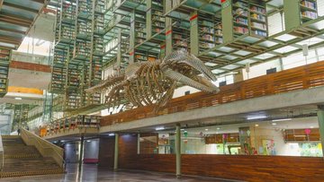 America’s first nature library opens in Colorado