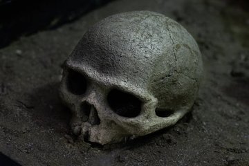 Ancient Discovery Shows Care for People with Facial Differences in China