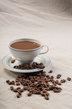Global Coffee Prices Hit Record High Due to Climate Change