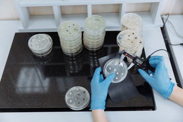 How a harmful bacterium senses iron