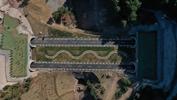 New Wildlife Bridge Helps Animals Cross UK Motorway Safely