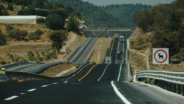 San Antonio Opens Wildlife Bridge Over Highway