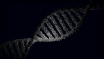 Separating Microbial Signals from Contamination