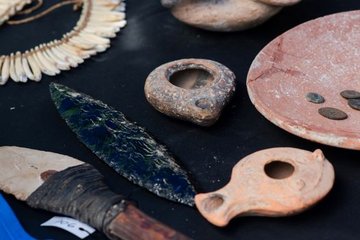 This week in science: Archaeology fakes, hurricanes and lizards, and heat health effects